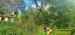 IMG 20200927 WA0004
