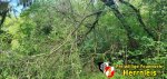 IMG 20200927 WA0005