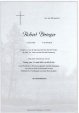 Robert Biringer 1