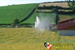 DSC 8459